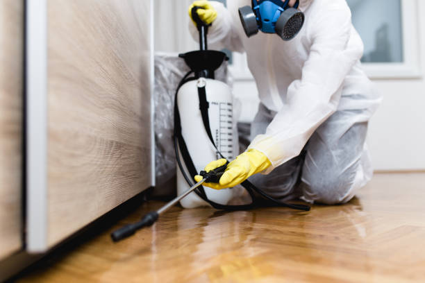 Best Wasp Removal Services  in Lisbon, IA