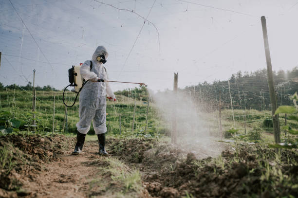 Best Mosquito Control Services  in Lisbon, IA
