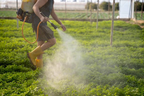 Best Best Pest Control Companies  in Lisbon, IA