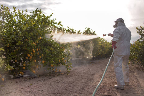 Best Cockroach Control Services  in Lisbon, IA