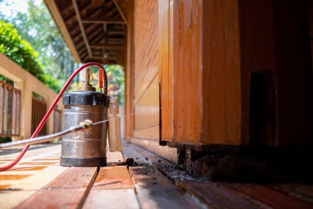 Best Local Pest Control Services  in Lisbon, IA