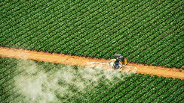 Best Local Pest Control Services  in Lisbon, IA