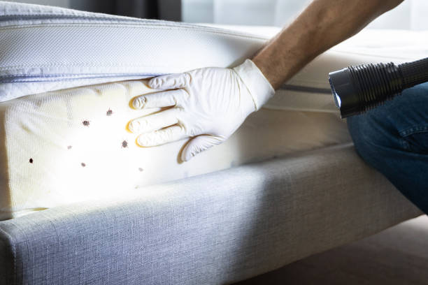 Best Bed Bug Extermination  in Lisbon, IA