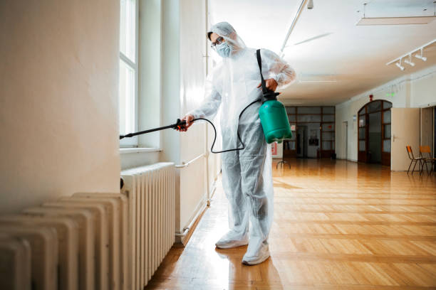 Best Termite Control Services  in Lisbon, IA