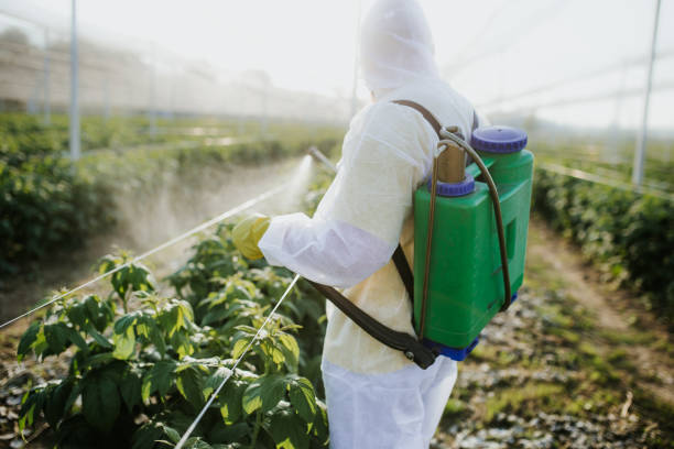 Insect Control in Lisbon, IA